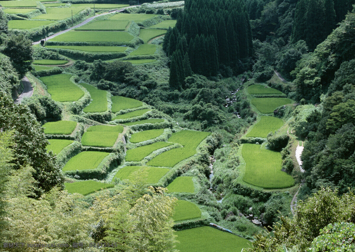农家田地 绿色稻田 山涧 自然景观 自然风景 美景风光 摄影图库 摄影素材