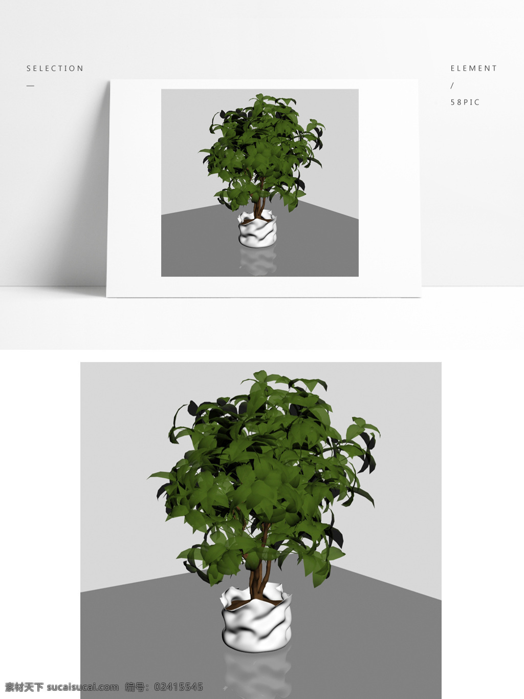 精细 盆景 植物 模型 盆栽 绿植