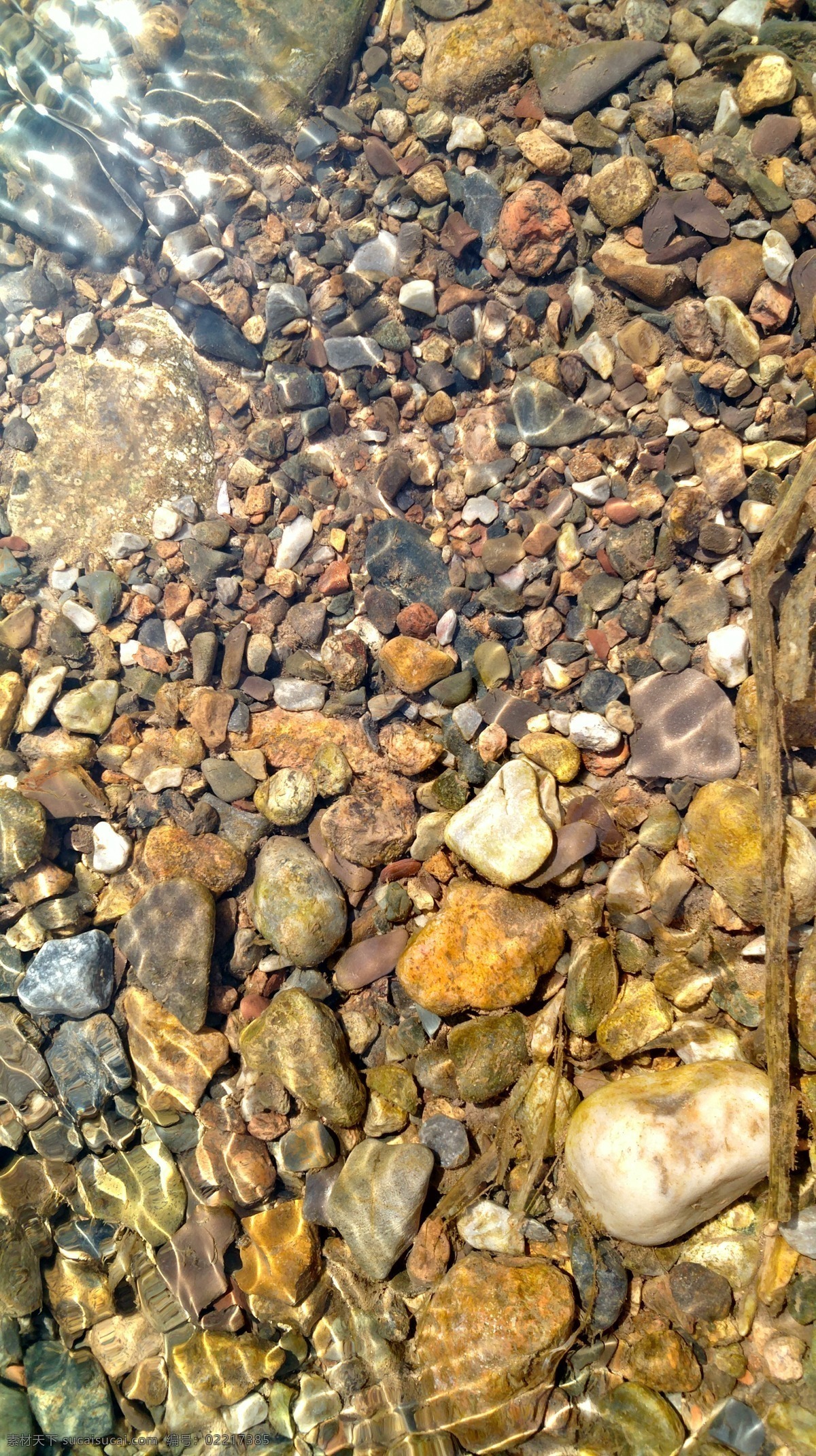 鹅卵石 石头 小石头 小石子 水流 小河 小溪 水中 自然景观 自然风景