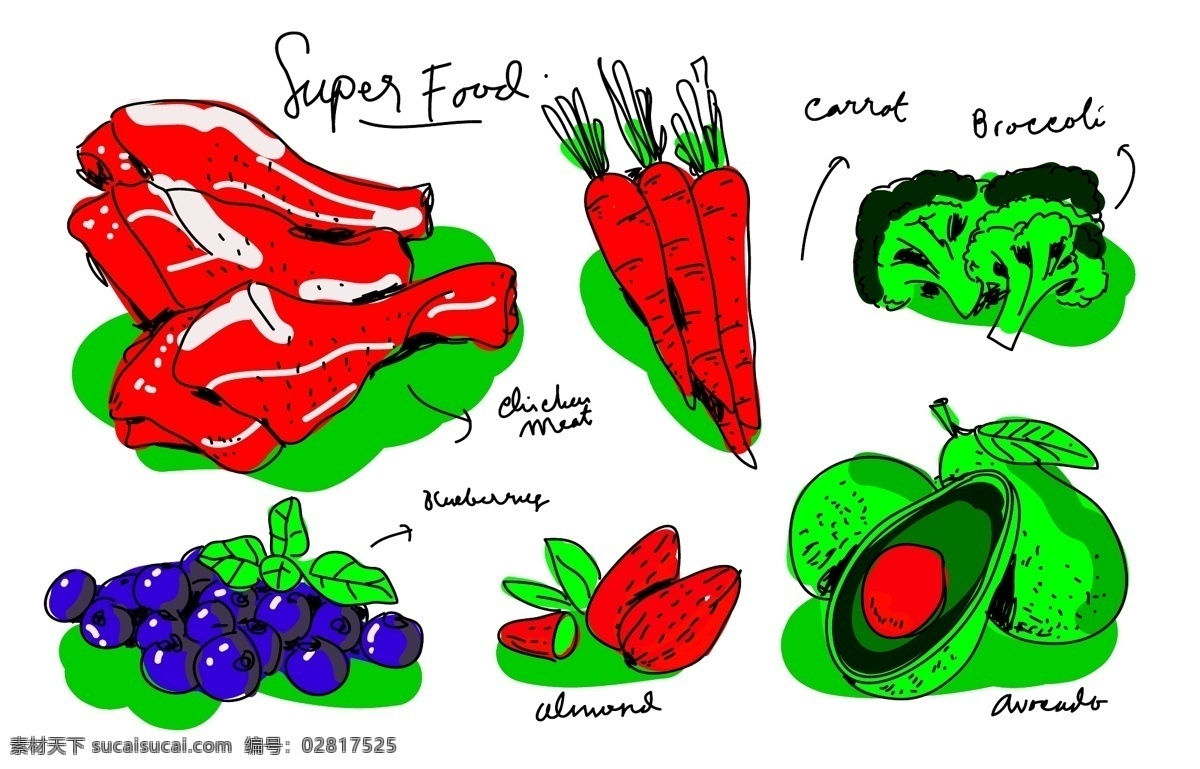 手绘 各类 蔬菜 食物 菜花 蓝莓 萝卜 肉 矢量素材 手绘插画 手绘食物