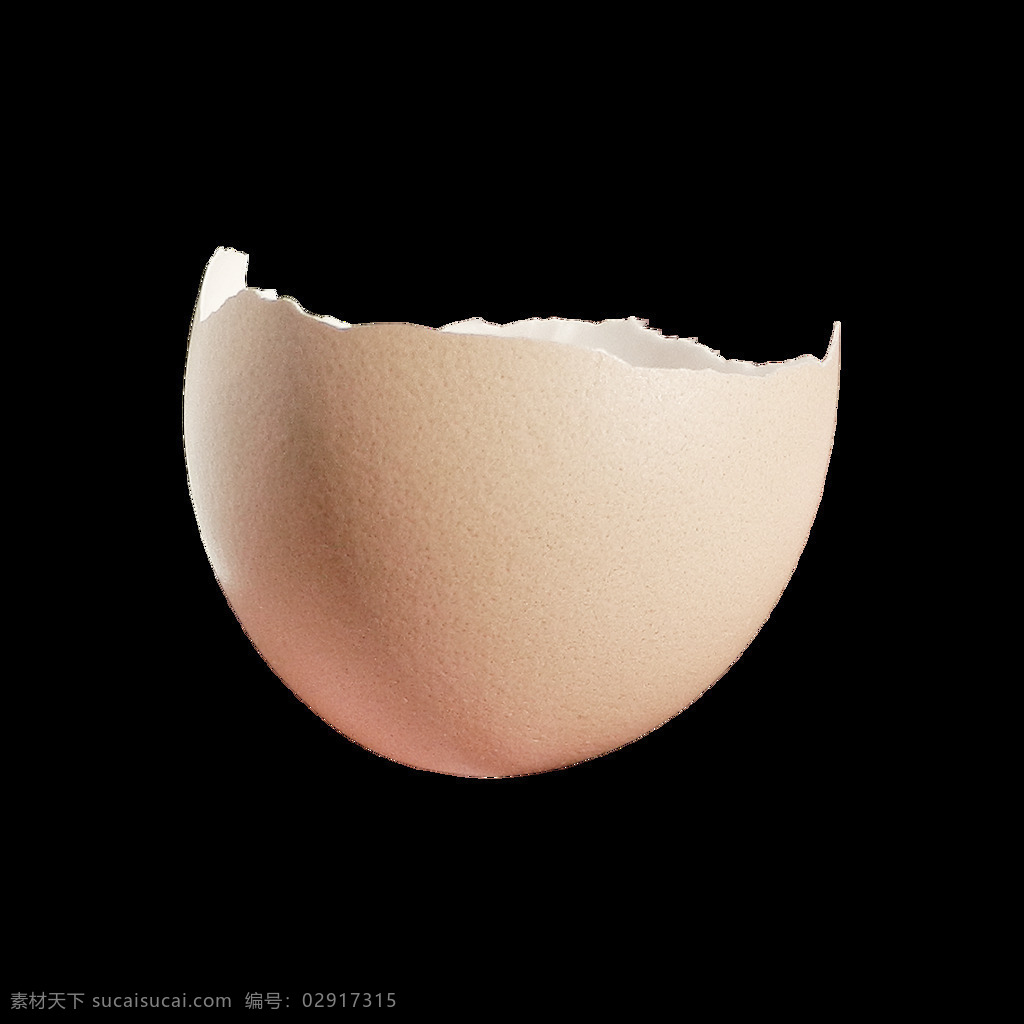 蛋壳 鸡蛋 实物 鸡蛋壳 禽蛋 土鸡蛋壳 免抠