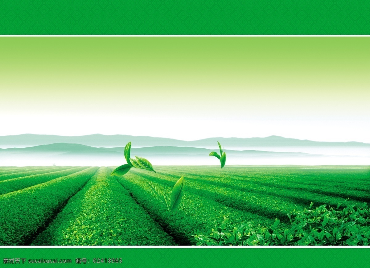 绿色茶叶 绿色 茶叶 茶叶素材下载 茶叶模板下载 自然 清新 底图 广告设计模板 源文件
