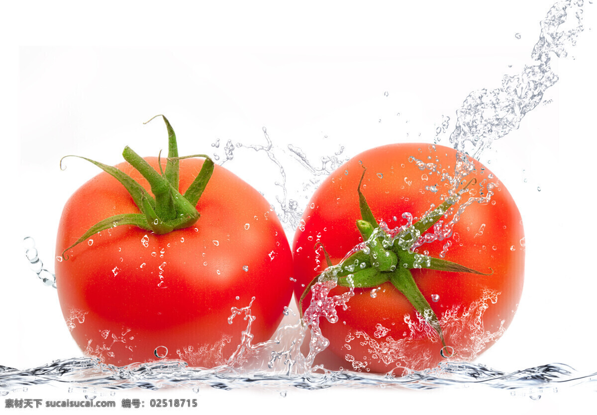 西红柿 小蕃茄 新鲜蕃茄 蕃茄素材 多个蕃茄 蕃茄酱 蕃茄汁 圣女果 西红柿汁 蔬菜 生物世界