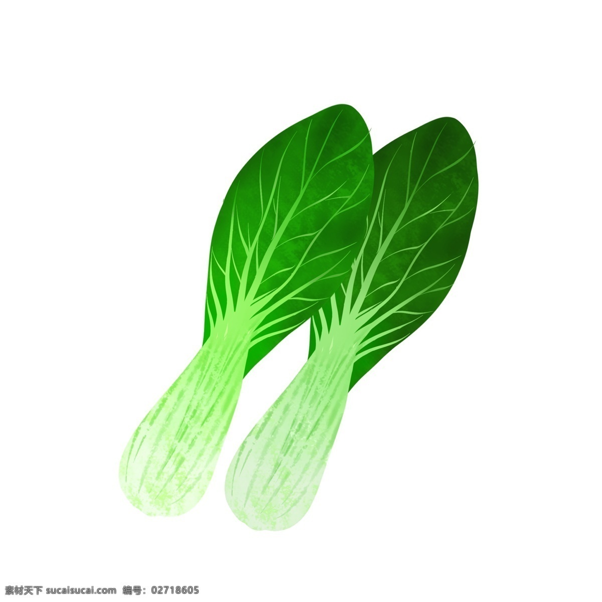上海 青 免 抠 上海青 绿色 蔬菜 健康 美食 简洁 植物
