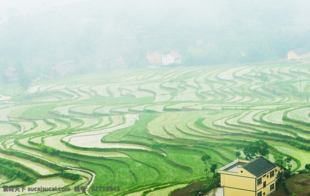 梯田 雾中梯田 陕南风光 凤堰梯田 古梯田 安康风光 陕西风光 自然景观 自然风景