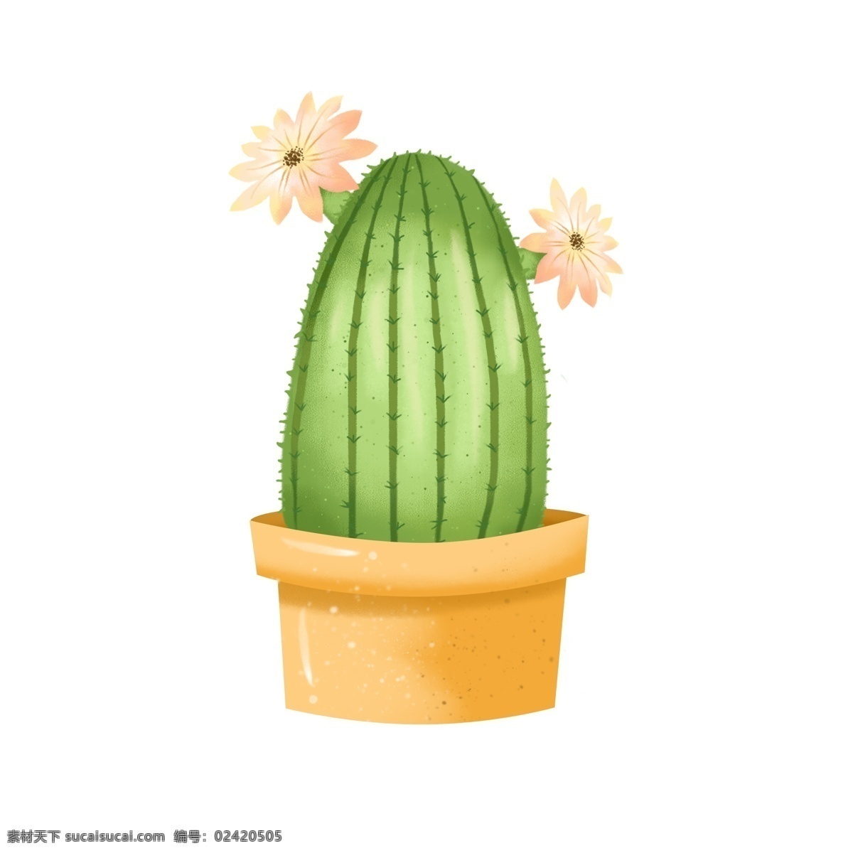 手绘 可爱 卡通 清新 仙人球 植物 花 绿色 花卉