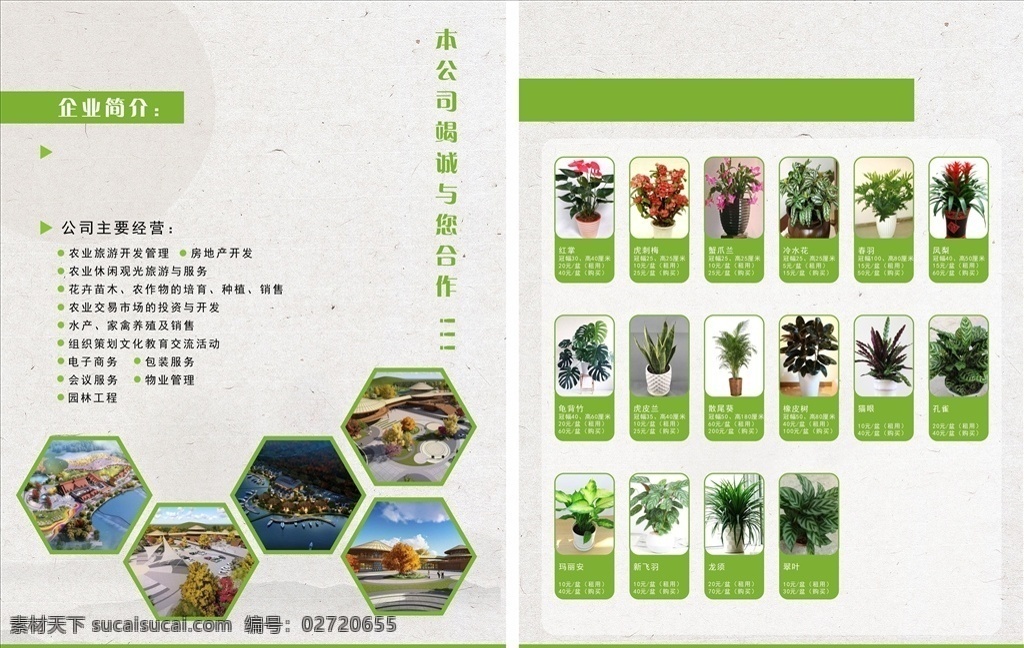 绿植宣传单 绿植 植被 宣传单 dm单 盆栽 商品 分类 海报 传单 海报dw单