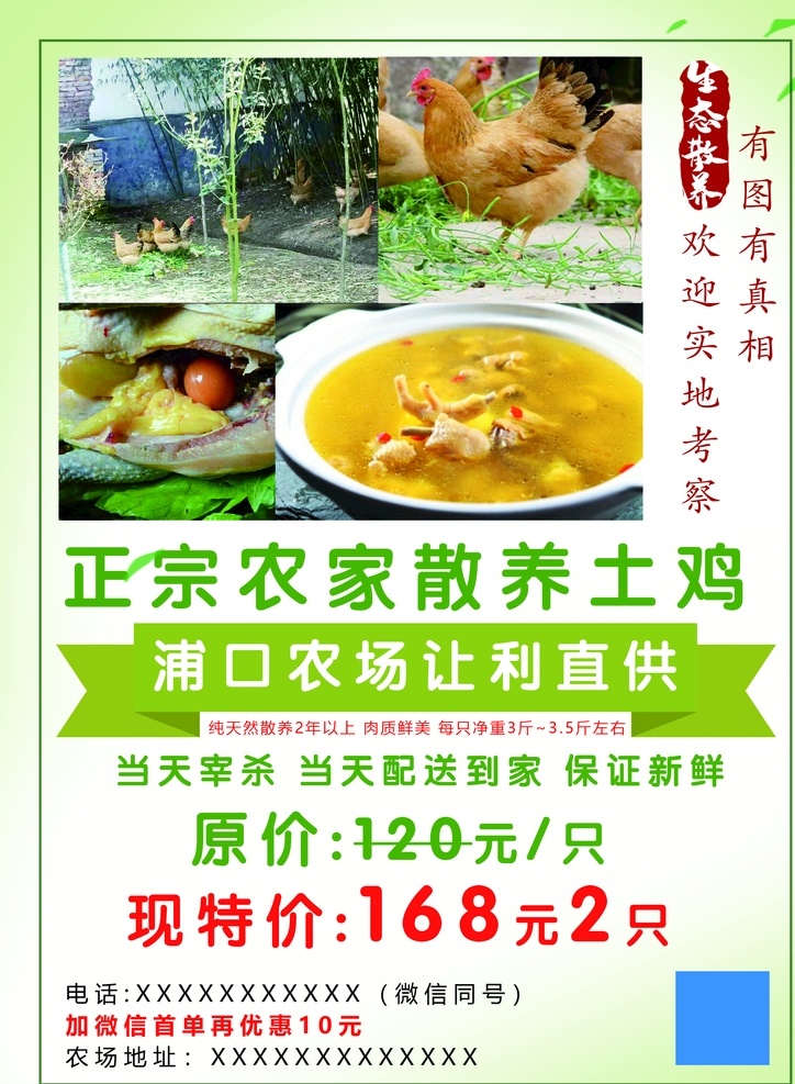 土鸡蛋 散养土鸡 正宗土鸡 土鸡 散养鸡