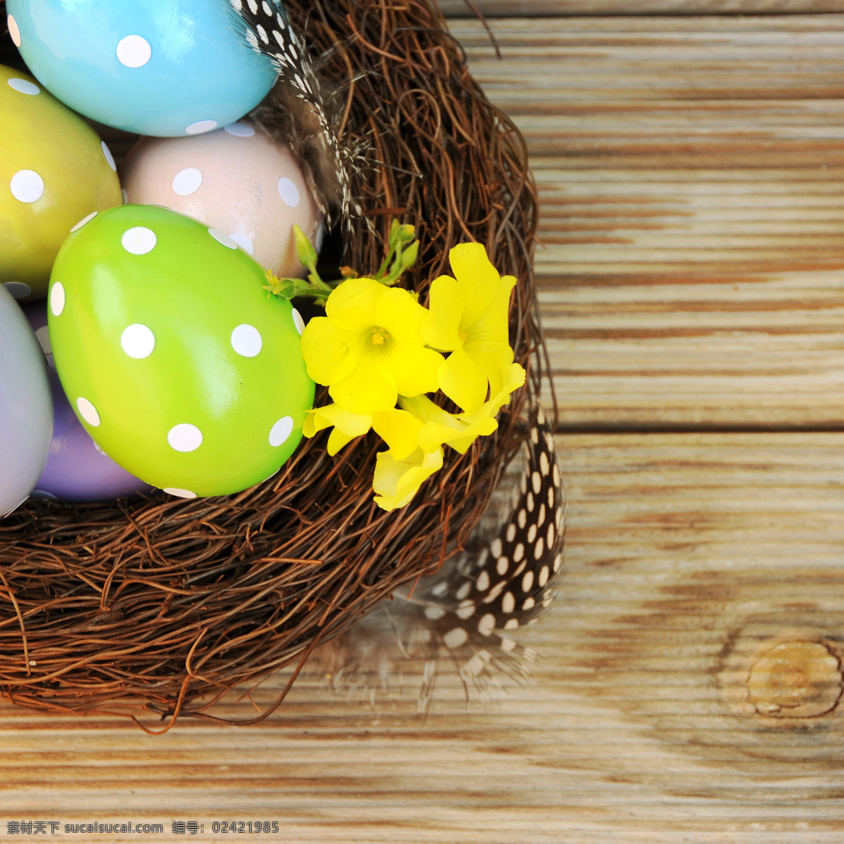 复活节彩蛋 复活节 彩蛋 圣诞节 鸡蛋 漂亮鸡蛋 染色鸡蛋 可爱 帽子 鸟巢 黄色