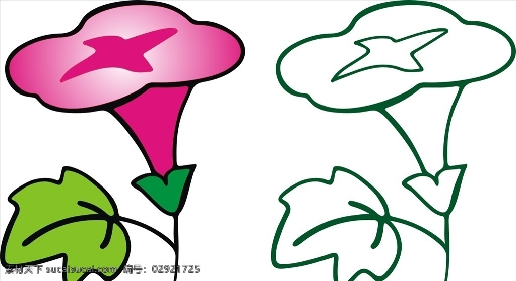 牵牛花 花卉 植物 鲜花 花朵 牵牛花素材 牵牛花矢量图 牵牛花手绘 牵牛花简笔画 花卉简笔画 花卉素材 花卉矢量图 花卉手绘 植物手绘 植物素材 植物矢量图 植物简笔画 鲜花素材 鲜花矢量图 鲜花简笔画 鲜花手绘 花朵素材 花朵手绘 花朵矢量图 花朵简笔画
