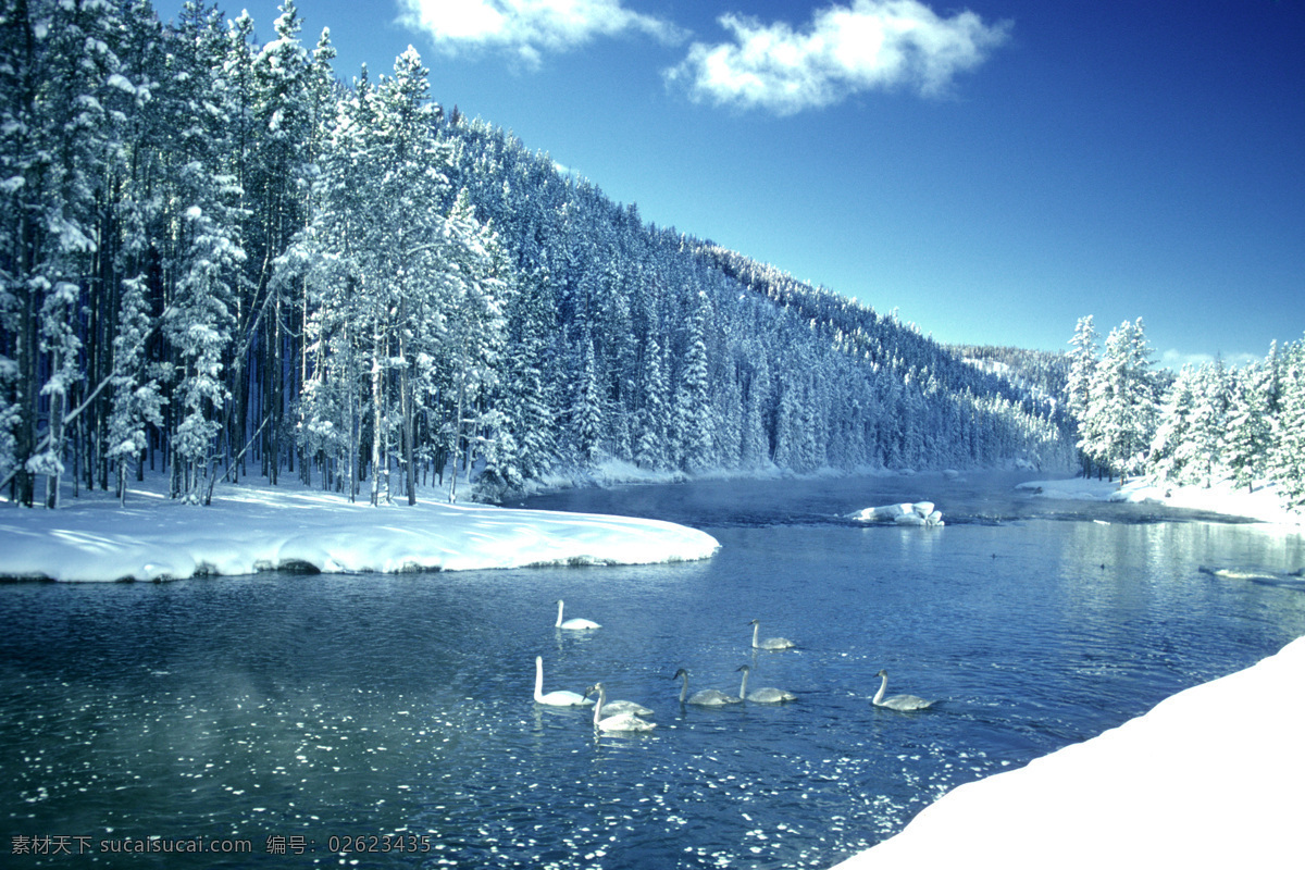 美丽 雪山 风景 冬天 湖面 天鹅 湖泊 湖水 景色 美景 摄影图 高清图片 山水风景 风景图片