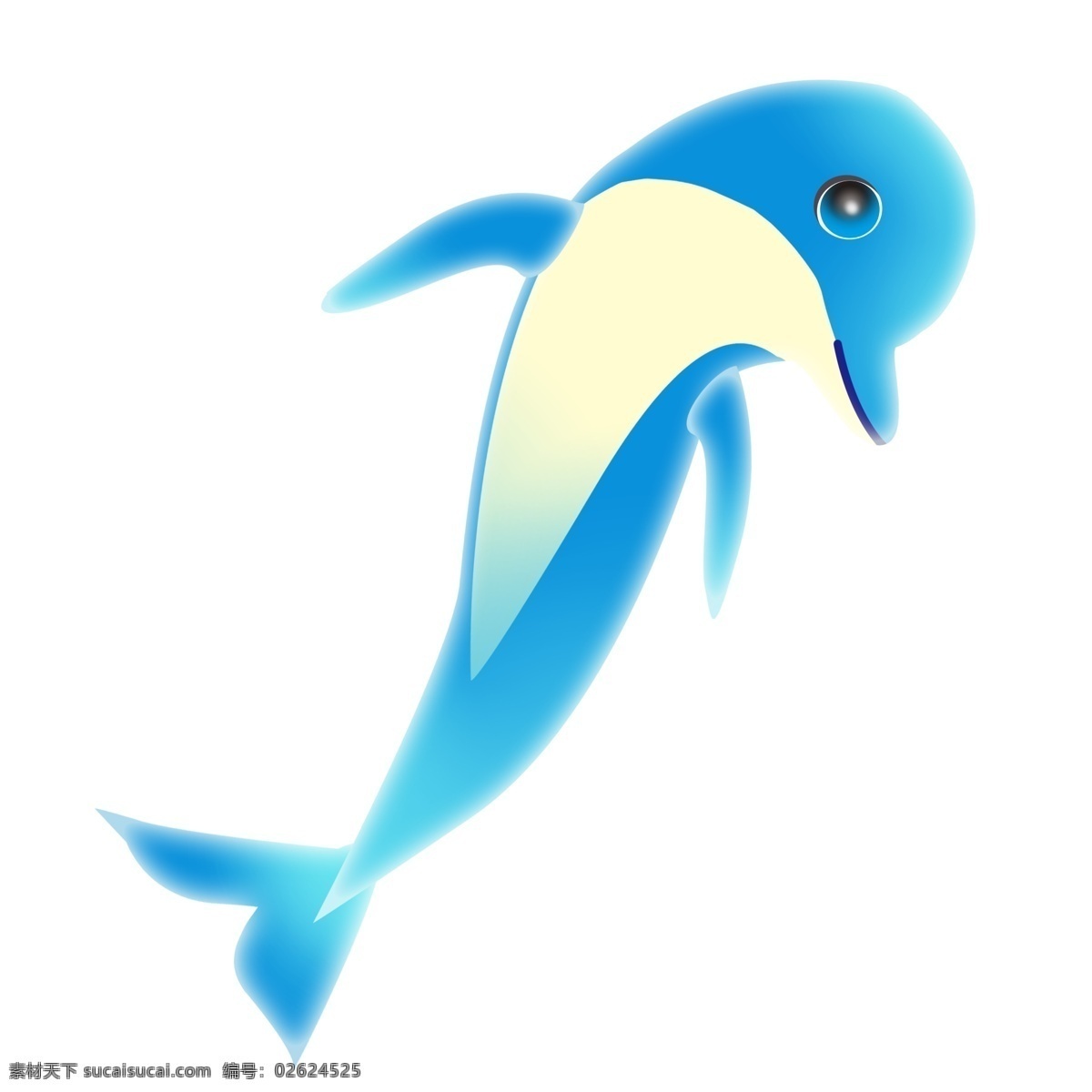 蓝色表演海豚 海豚 生物 海洋