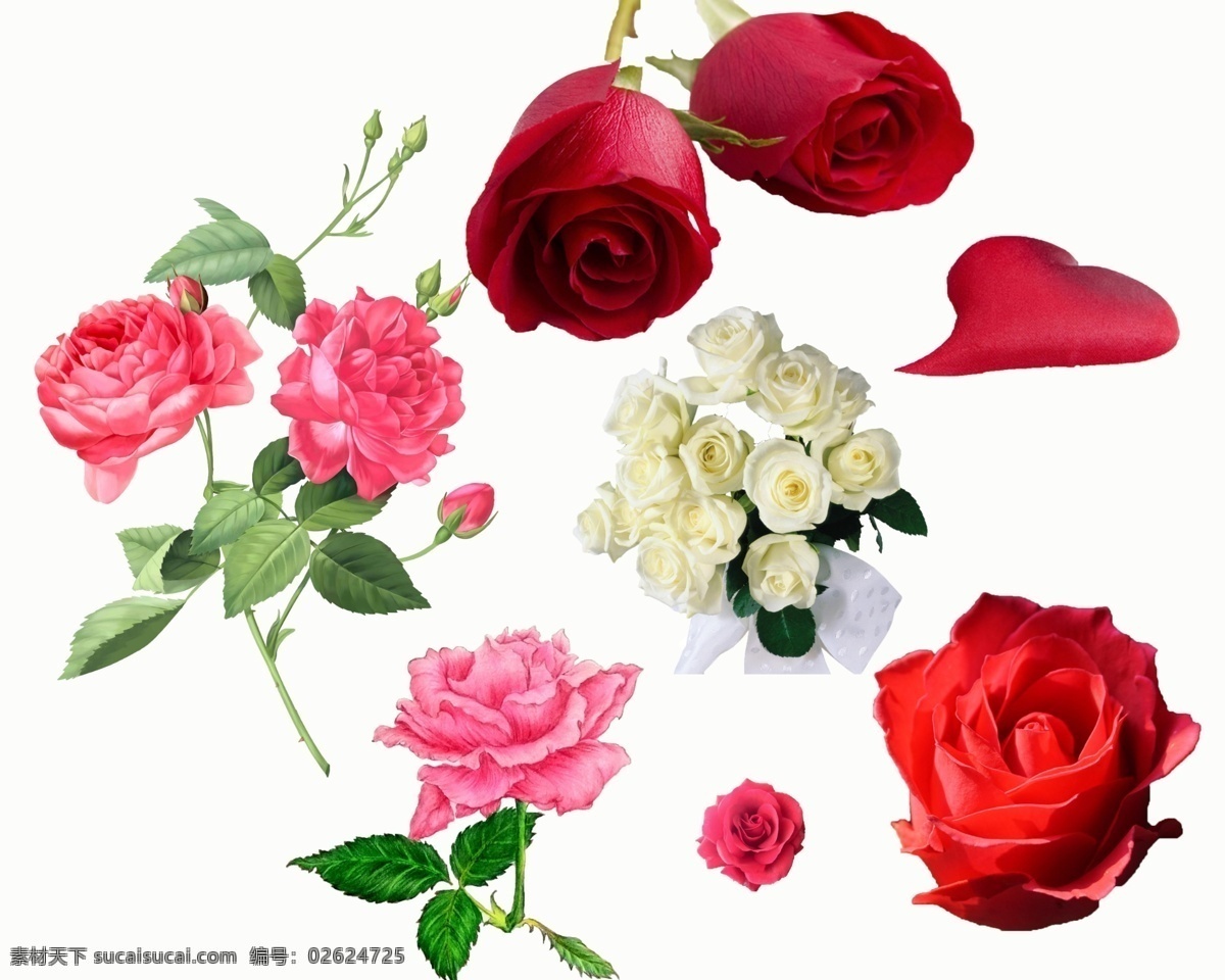 520 玫瑰花 抠 图 水彩 520玫瑰花 抠图 背景素材 分层