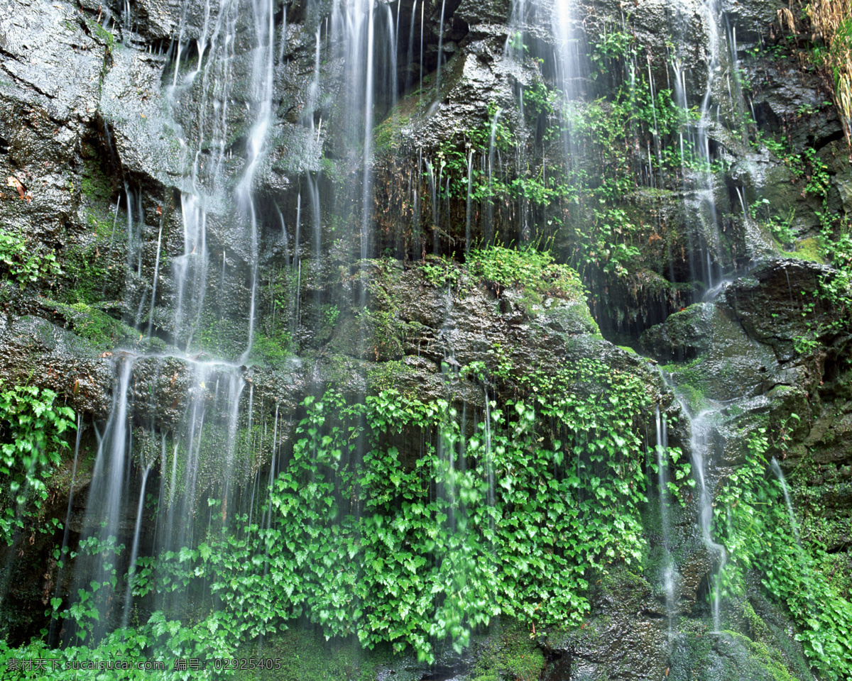 树免费下载 风景 山水风景 摄影图 树 植物 自然景观 水 家居装饰素材 山水风景画