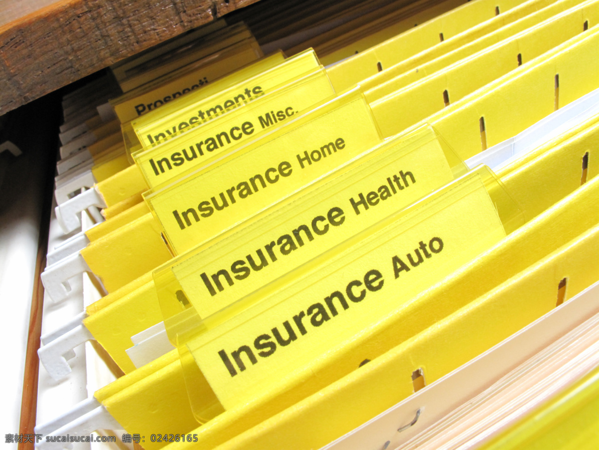 各种 不同 类别 保险 健康保险 意外保险 房屋保险 保障机制 风险管理 保险主题 其他类别 生活百科