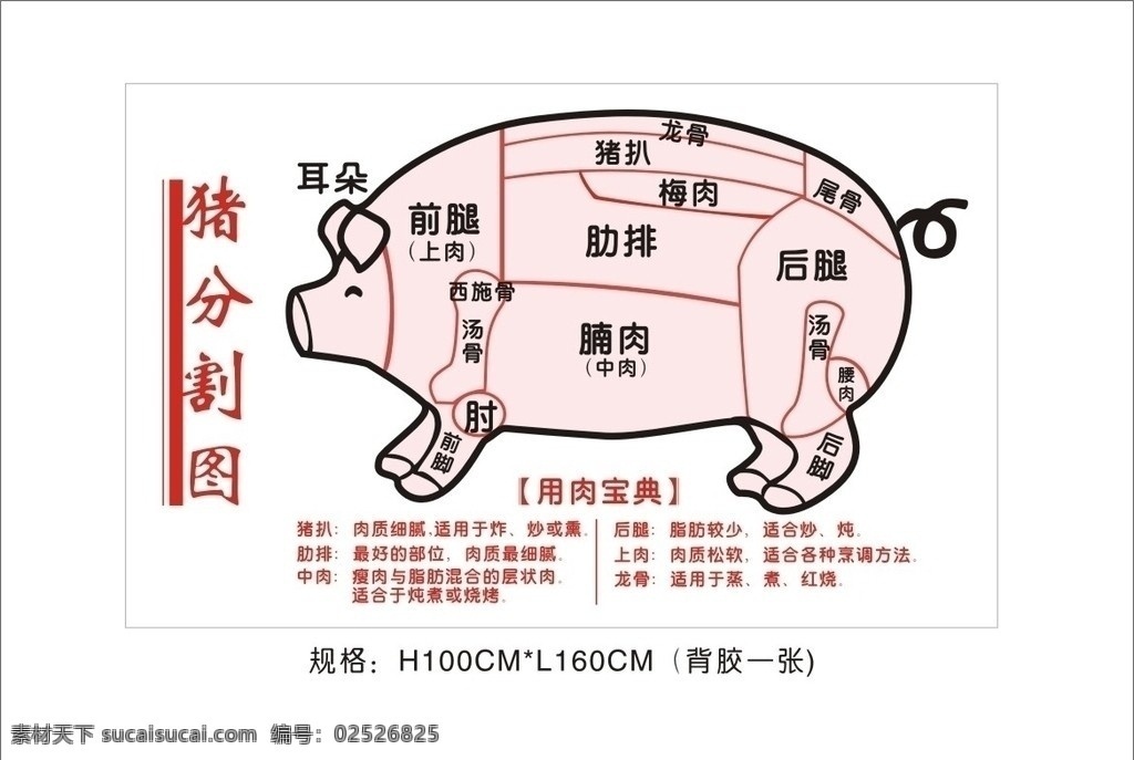 猪分割图 猪肉分割图 商场 超市 生鲜 鲜肉 矢量