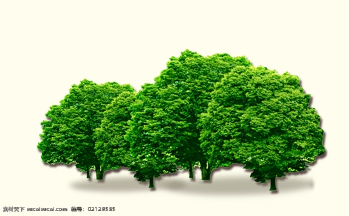 绿色树木 树 树素材 绿树