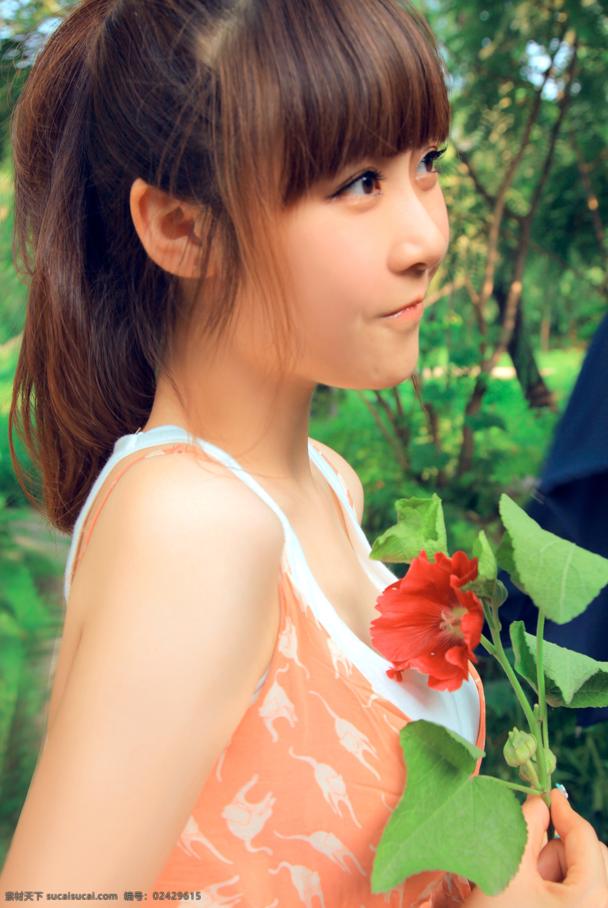 鲜花 美女图片 花朵 美女 女人 女性 性感美女 人物 人物摄影 人物素材 职业人物 生活人物 模特 明星 偶像 演员 明星图片 人物图片