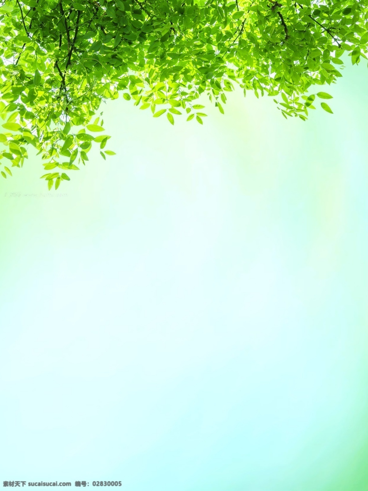 小 清新 绿色 背景 广告 绿叶 茶叶 新品上市 小清新 二十四节气 春分 谷雨 植物 春天 自然 淘宝