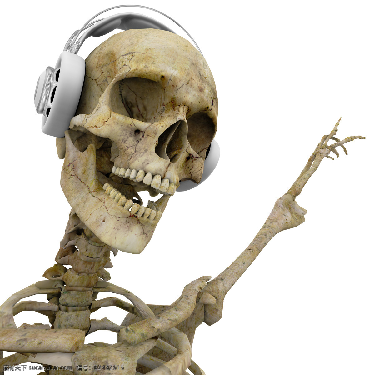 戴 耳机 骷髅 戴耳机的骷髅 白色耳机 恐怖素材 节日庆典 生活百科