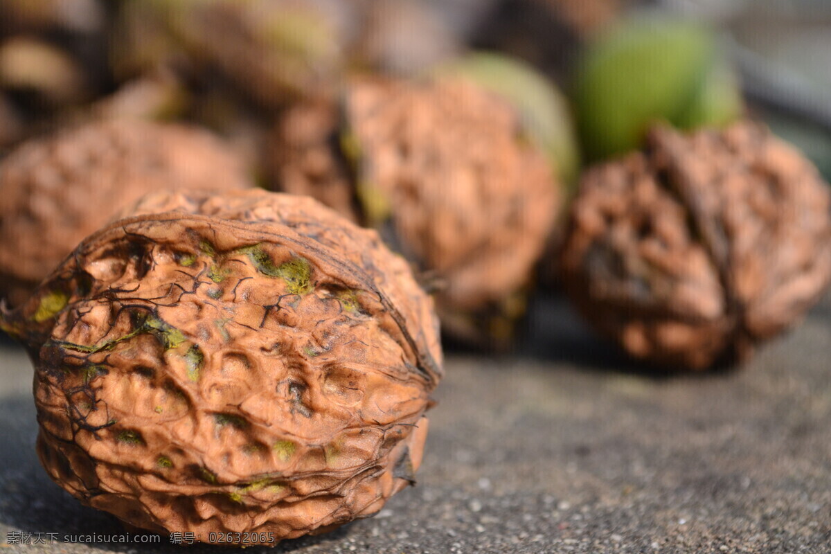 高清 核桃 农产品 植物 背景图片