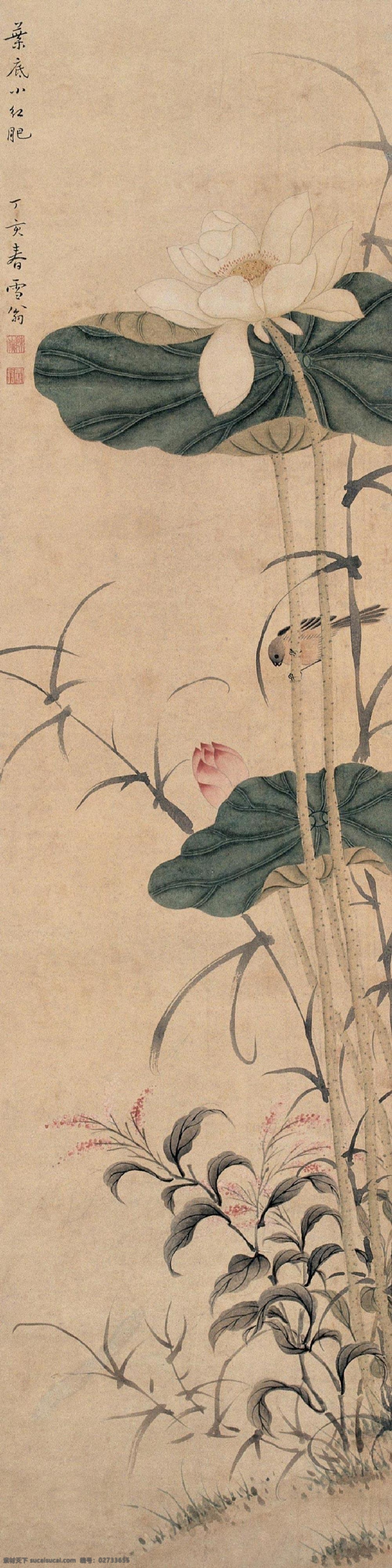 国画荷花 国画 工笔 工笔画 荷花 花鸟 绘画书法 文化艺术