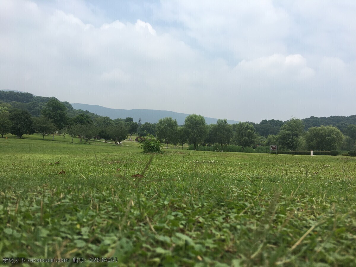 草坪 蓝天 白云 树 风景 绿地 树林 自然景观