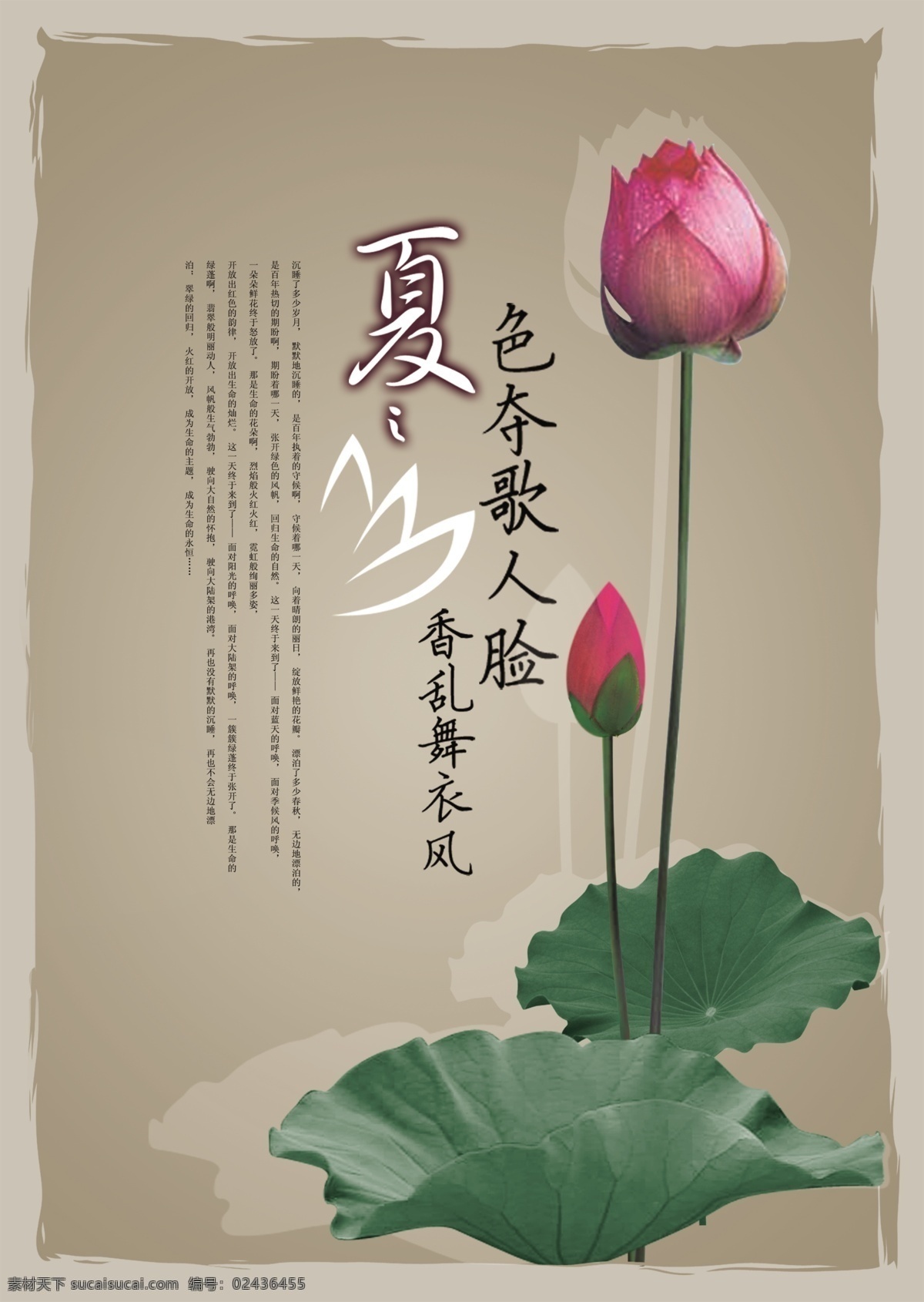 荷花 古风 宣传海报 宣传 海报 冷色调 雅致 古 早 版本 bannner