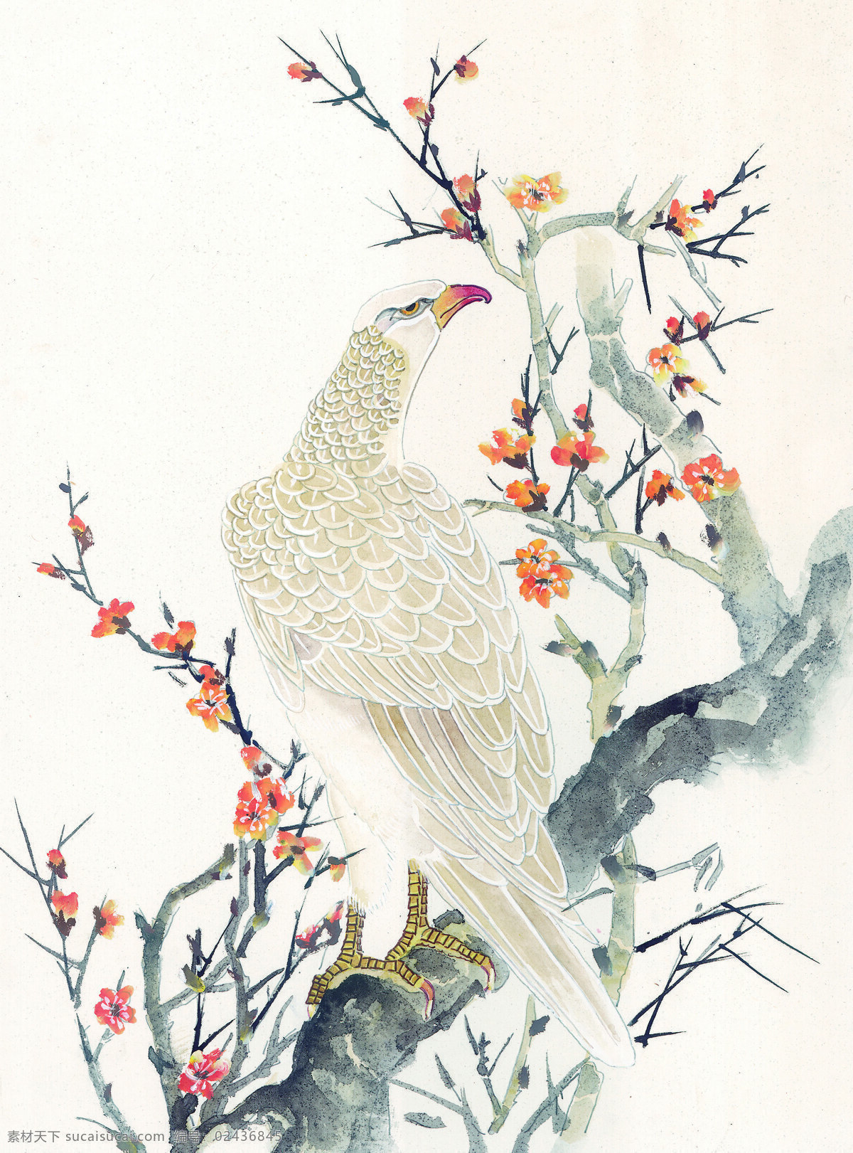 水墨 梅花 鸟 花鸟画 国画植物花卉 水墨画 名画 国画 中国画 绘画艺术 装饰画 挂画 书画文字 文化艺术 水墨梅花与鸟 梅花国画