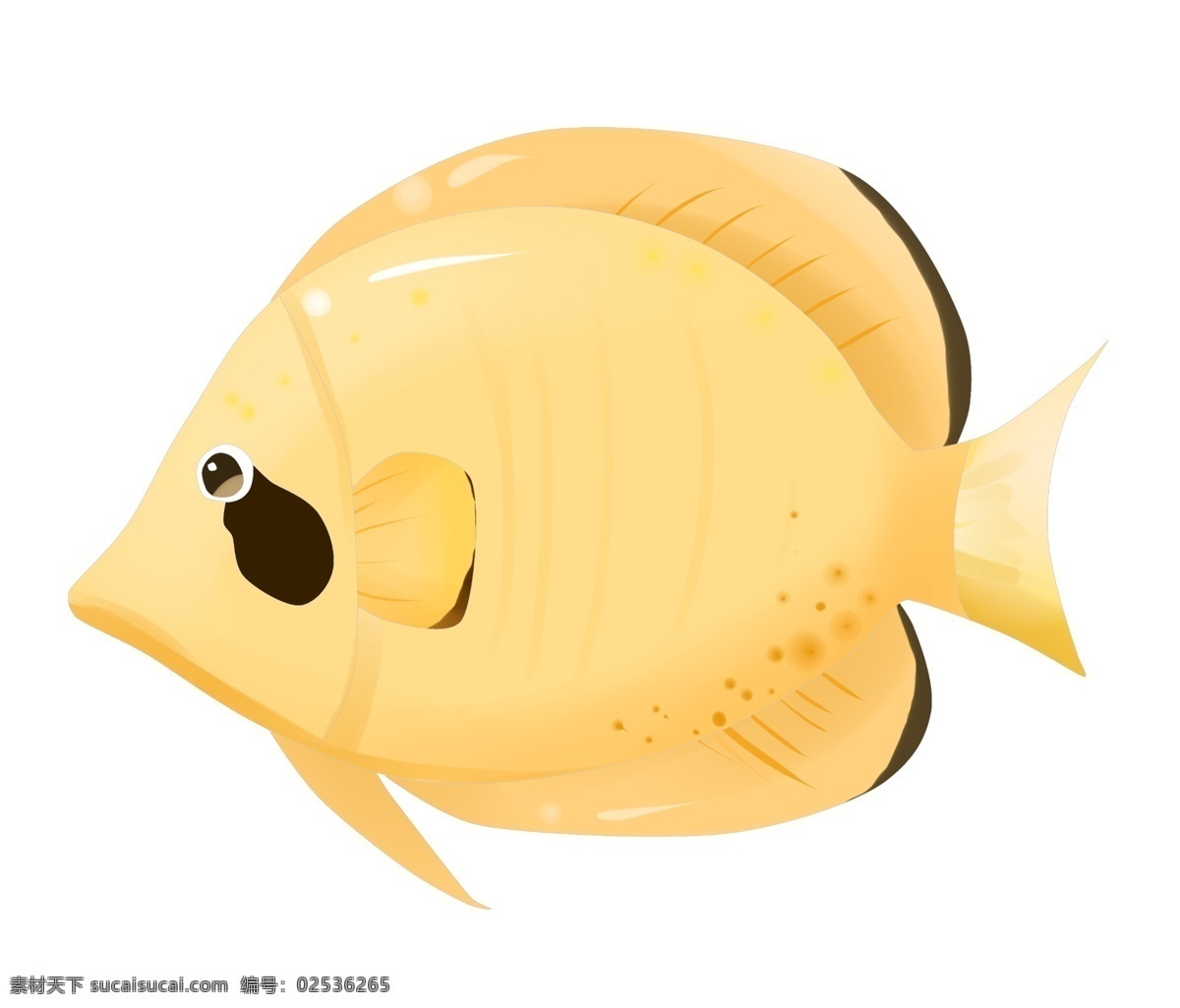 黄色 热带鱼 图案 鱼类 热带