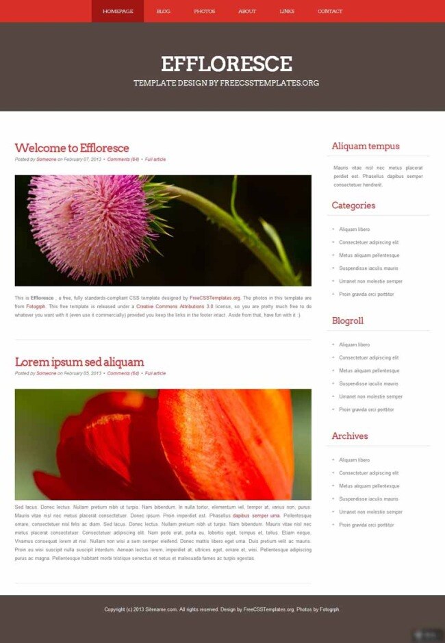 紫色 简洁 日志 网页模板 红色导航 花朵 简洁网站 日志网页 网页素材