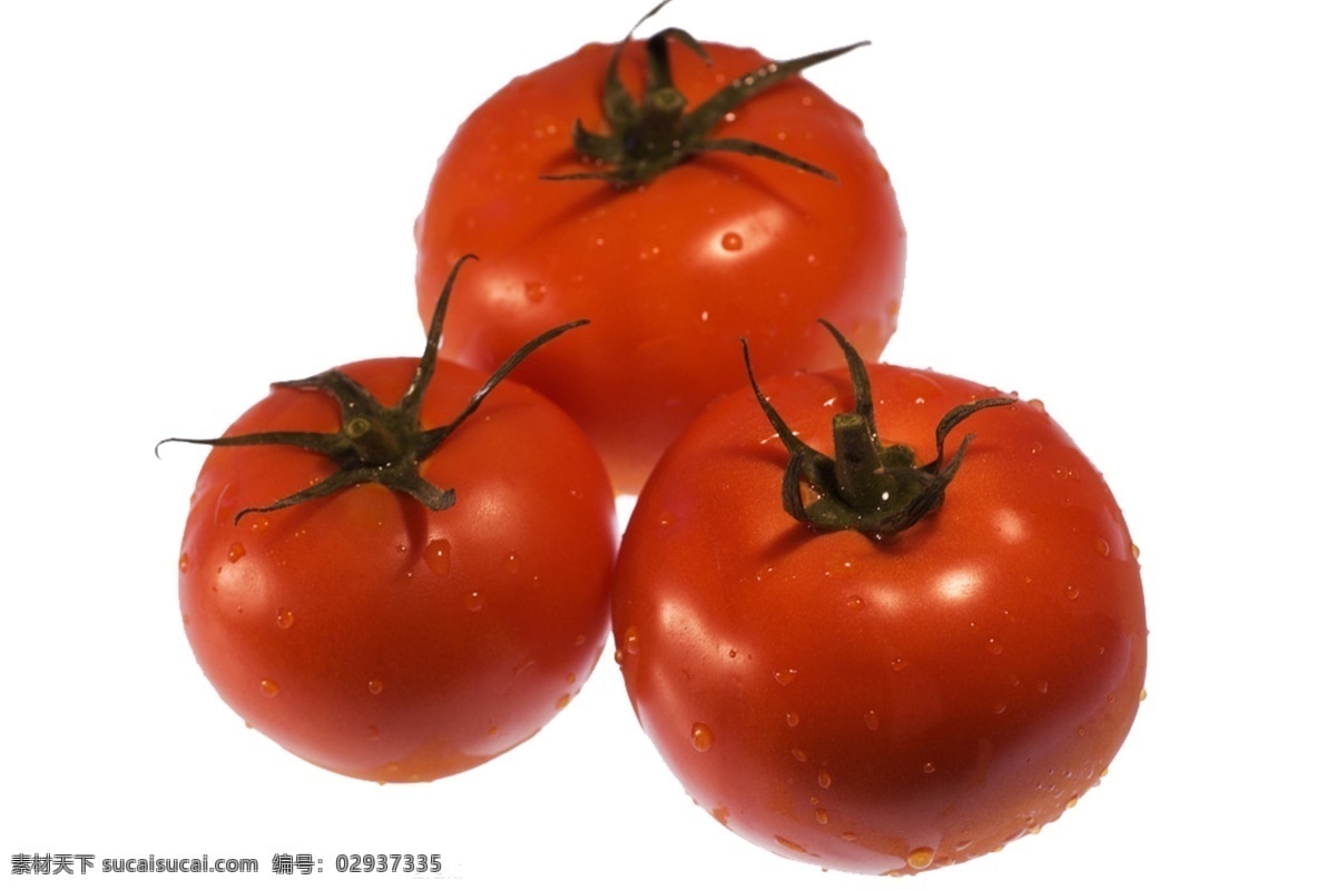 三个番茄素材 番茄 水滴 白色