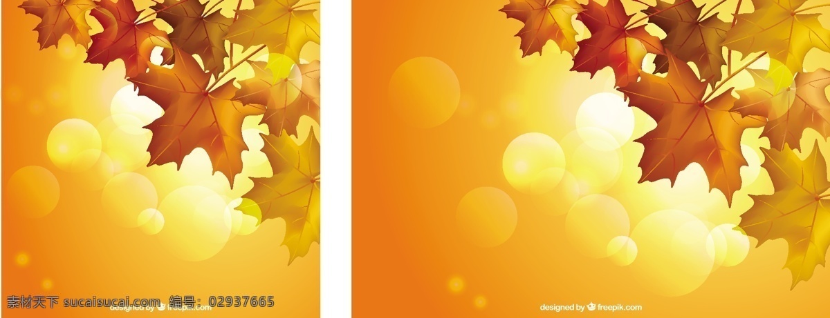 暖色的秋叶 背景 树叶 大自然 可爱 秋天 五颜六色 优雅 金色 多彩的背景 现代 树木 色彩 自然 自然背景 金色背景 现代背景 酷