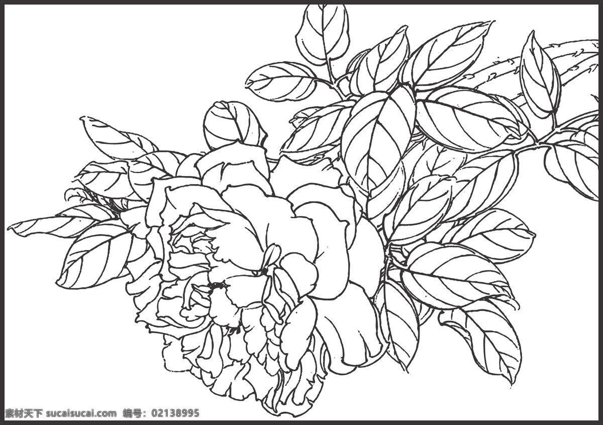 线条 矢量 传统 民俗 装饰 插画 白描 植物 观赏 花卉白描图 生物世界 花草