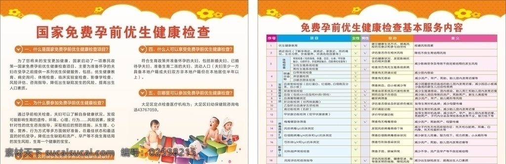 国家 免费 孕前 优生 健康 检查 dm 国家免费 孕前优生 健康检查 海报 dm宣传单