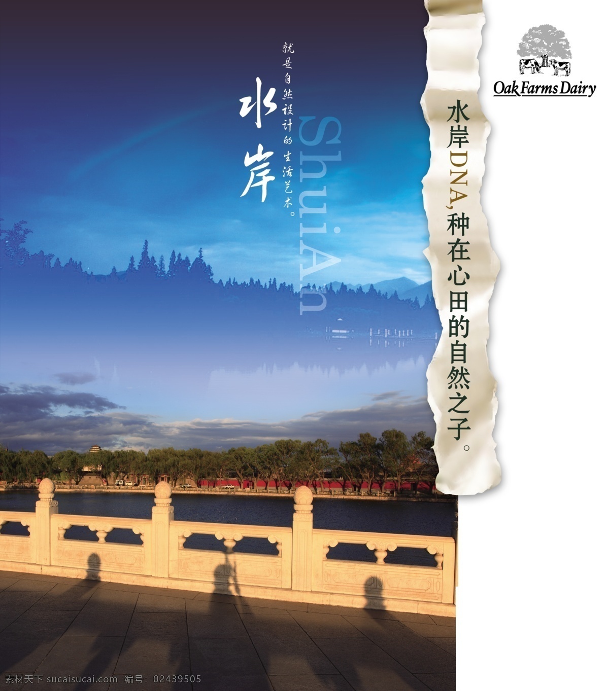 地产 单页素材 地产素材 广告素材 psd源文件