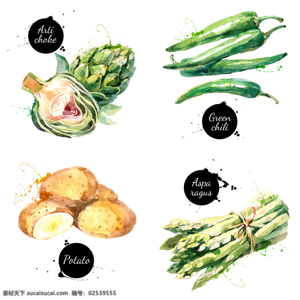 水彩 绘 四 款 蔬菜 插画 辣椒 芦笋 食材 手绘 水彩绘 土豆
