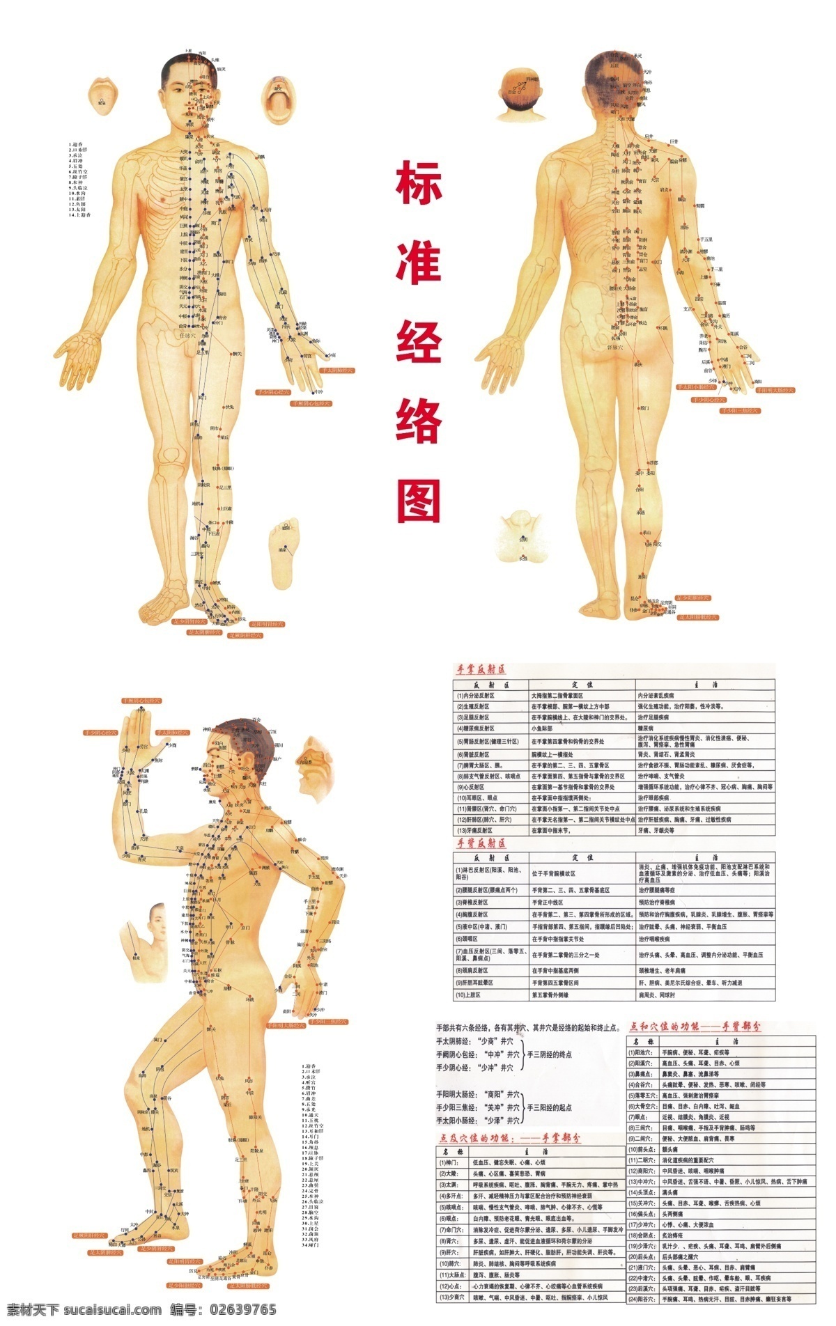 广告设计模板 经络图 美容 美体 女人 人体经络图 人体图 医学人体图 经络 图 分层 不 细 模板下载 中医 女人结构图 展板模板 源文件 其他展板设计