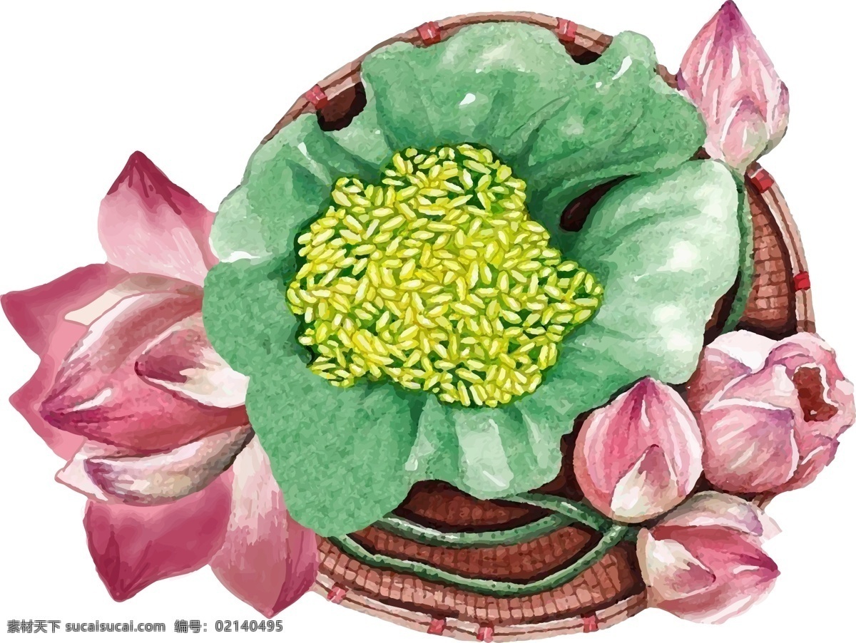 水彩 风 细致 手绘 荷花 矢量图 元素 图 水彩画荷花 花卉大全 手绘荷花 草 盘 矢量荷花元素