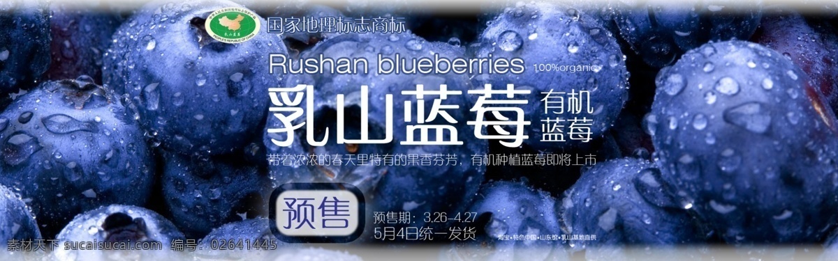乳山 有机 蓝莓 淘宝 广告 banner 淘宝界面设计 有机蓝莓 乳山蓝莓 蓝梅 淘宝素材 淘宝促销海报