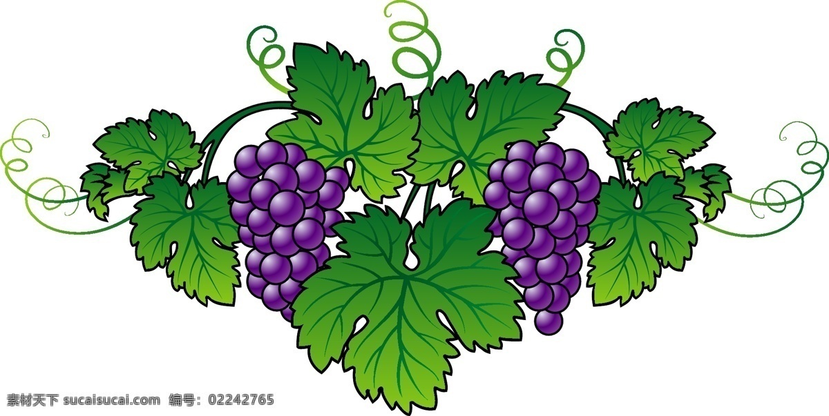 诱人 紫 葡萄 矢量 葡萄叶子 矢量图 水果矢量素材 提子 紫色 奶白色 日常生活