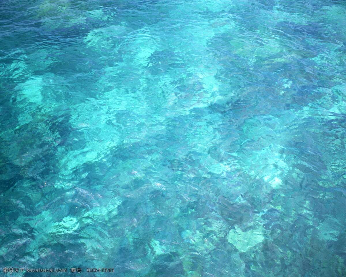 海底 世界 蓝色 水体 真实