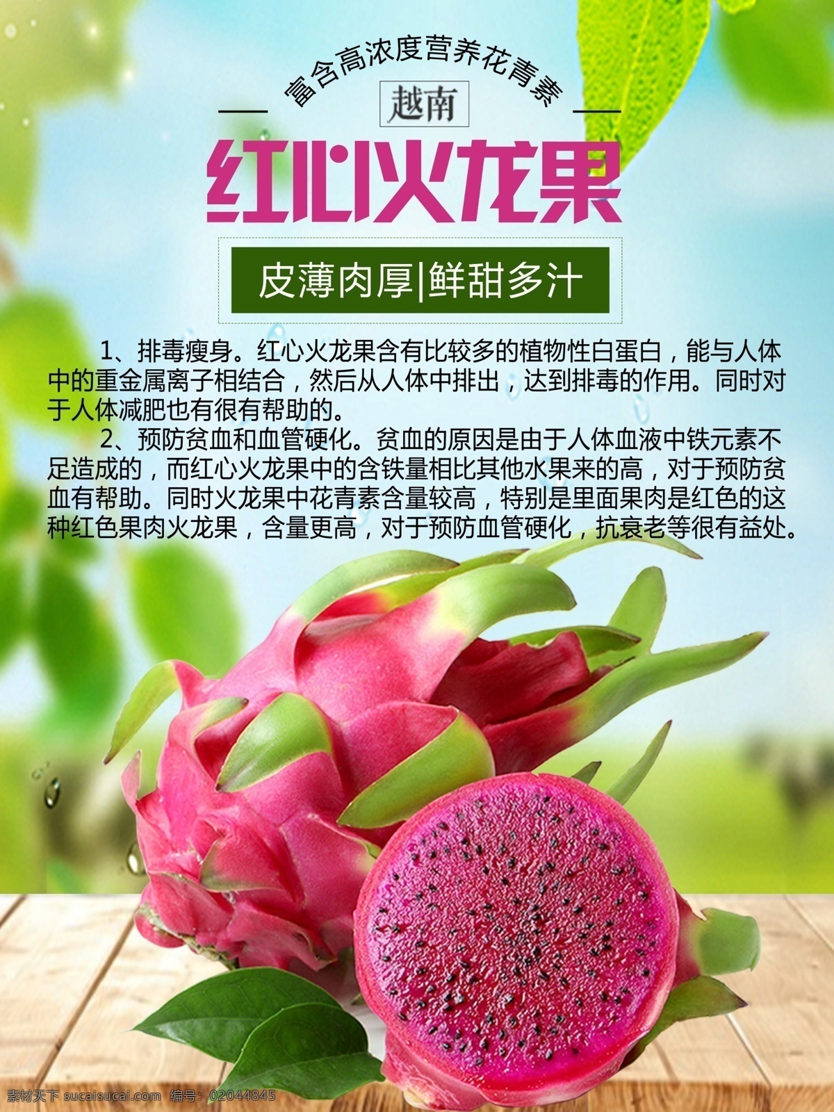 红心火龙果 火龙果海报 简约风格 展板设计