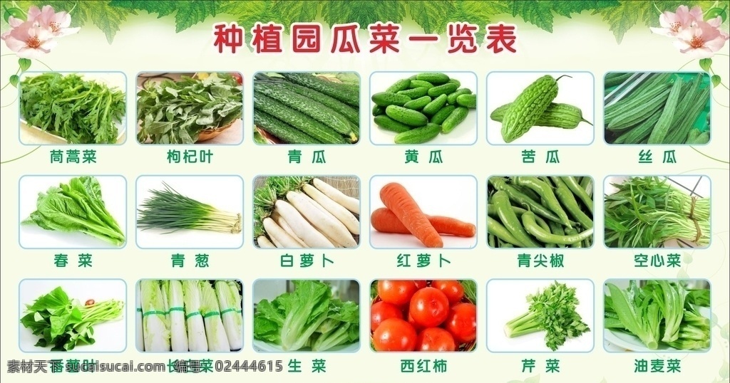 新鲜蔬菜 瓜果 蔬菜一览表 红萝卜 青菜 辣椒 菜花 番茄 包菜 胡萝卜 各种青菜 海报