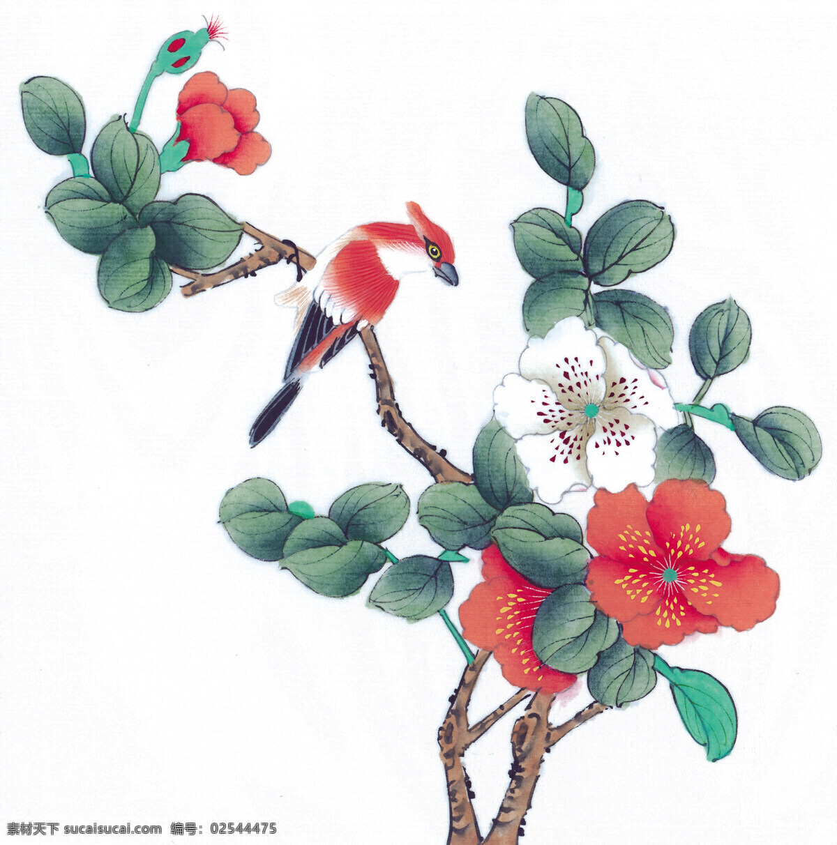 中式 花鸟 工笔画 花朵 花卉 花草 鸟 中国风 中式工笔画 文化艺术 绘画书法