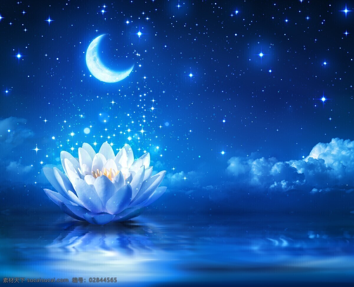 荷花 月亮 莲花 唯美星空 星星 云 夜晚 风景 美景 大自然 自然景观 自然风光