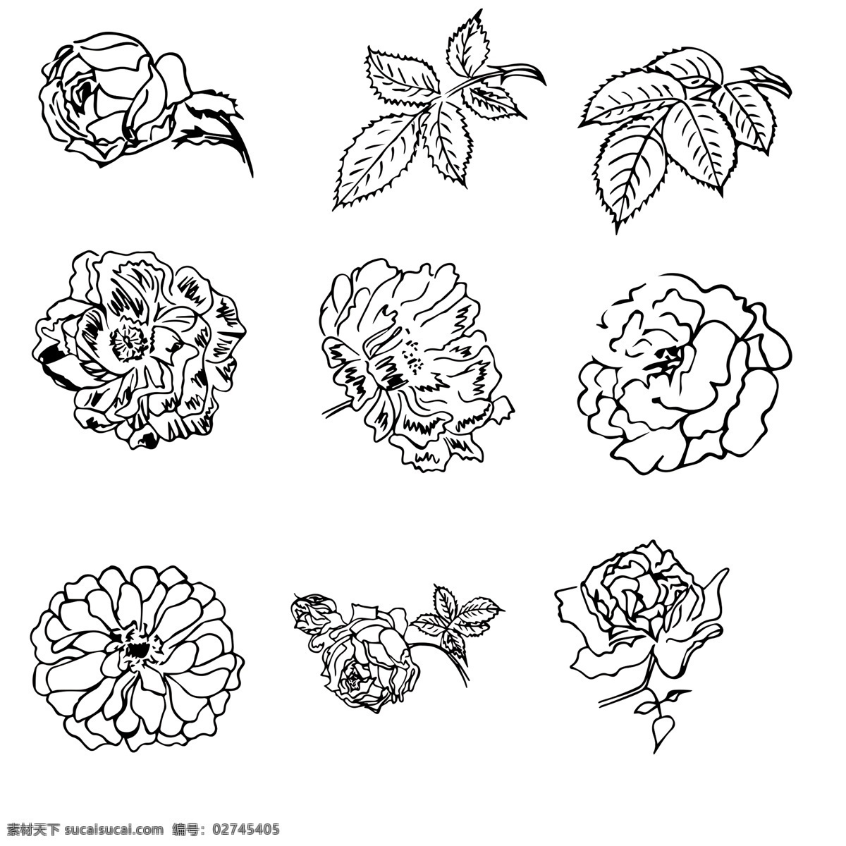 素描花朵 素描 花朵 背景 叶子 分层