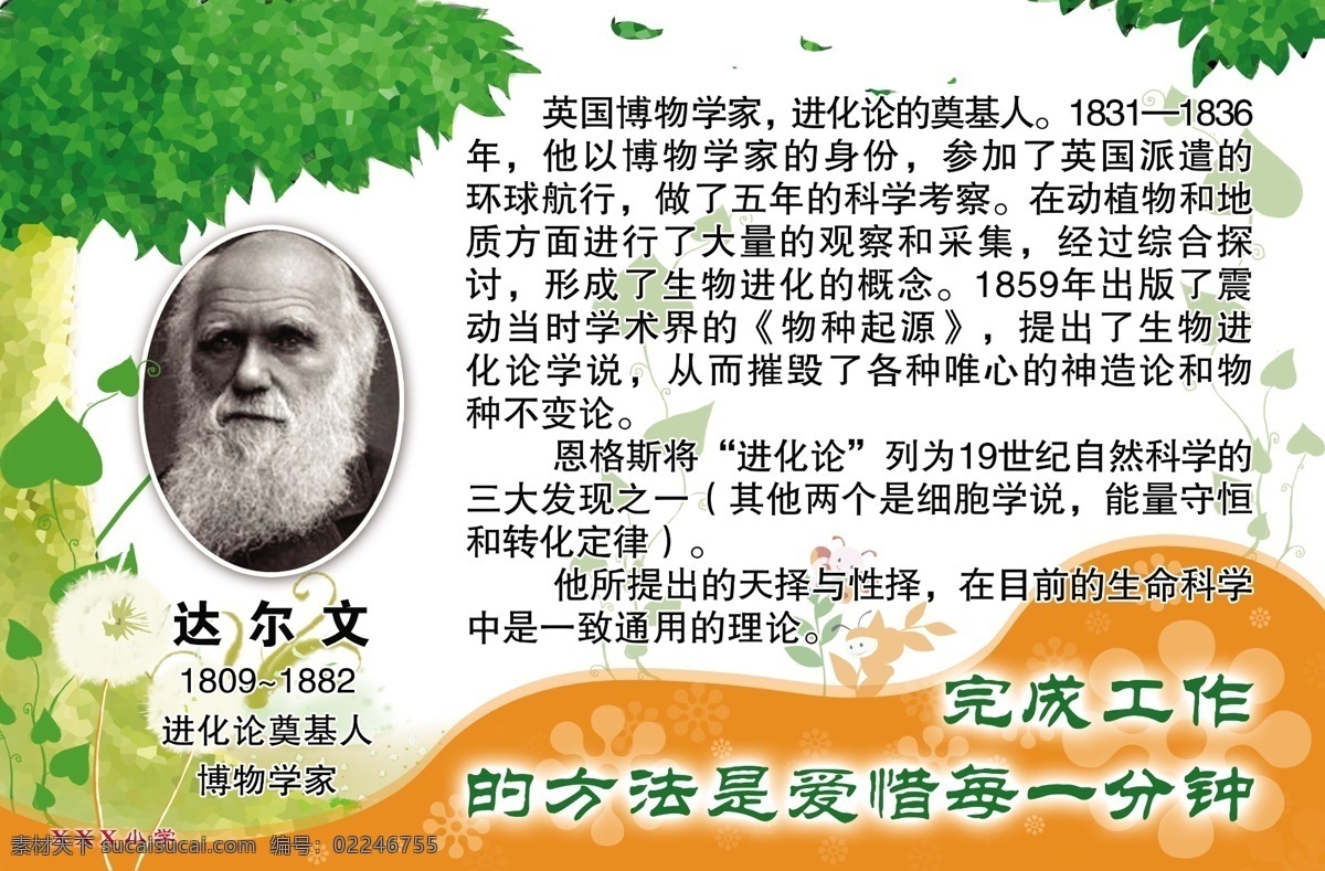 标牌 部队 广告设计模板 环保 教育 军人 绿色 名人 校园文化标牌 达尔文 学校 企业 小学 文化 社会 制度 展板 展板模板 源文件 部队党建展板