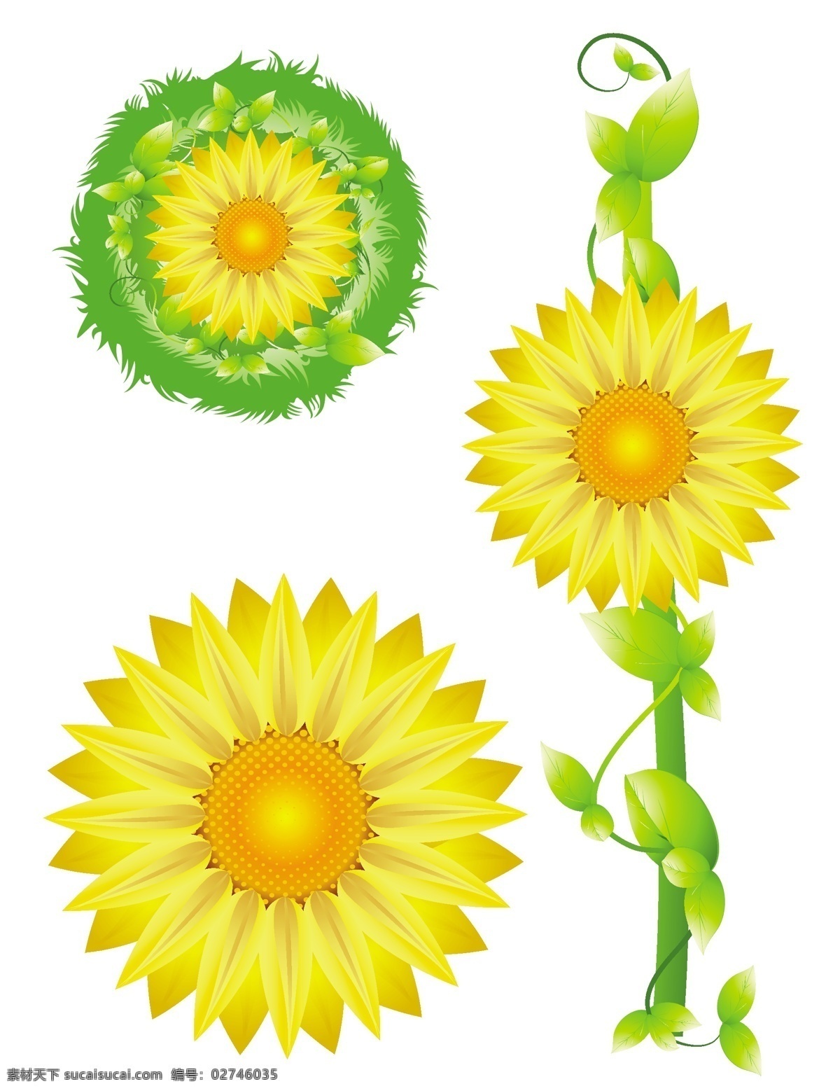 清新 太阳花 矢量 背景 个性 花朵 花卉 可爱 矢量素材 自然 矢量图 其他矢量图