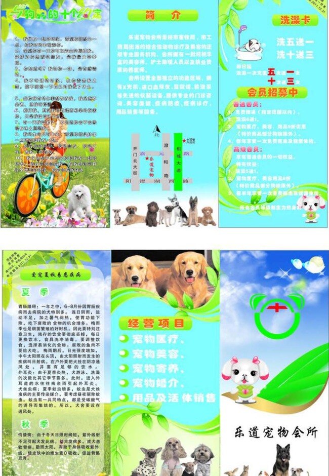宠物三折页 宠物 三折页 青色 天蓝色